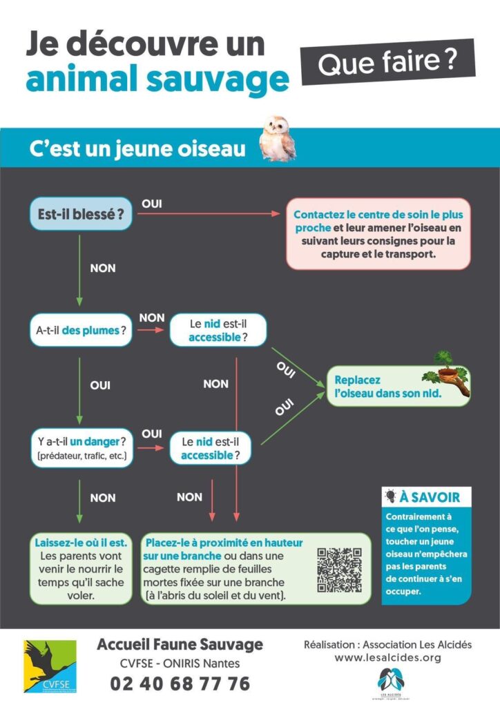 Infographie explicative